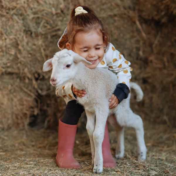 Bronze Farm Animal Adoption