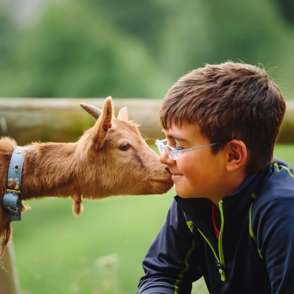 Silver Farm Animal Adoption Package